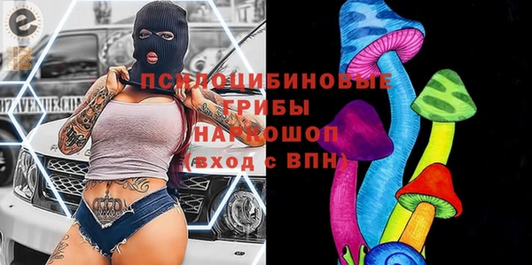 индика Богородицк